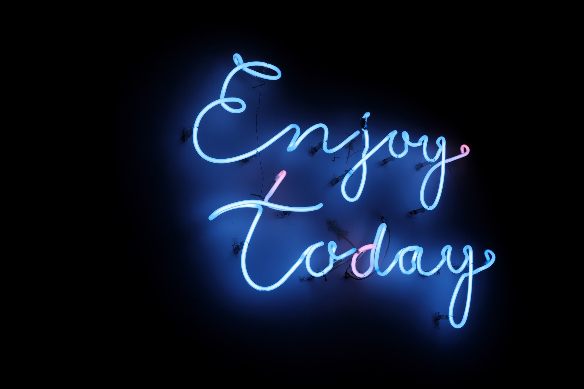 Enjoy Today - Stay